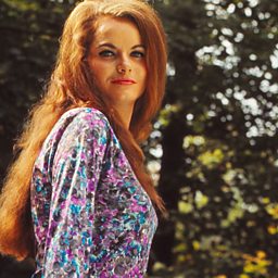 Harper Valley PTA