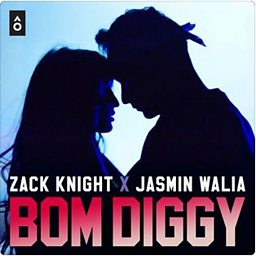 Bom Diggy