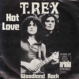 Hot Love