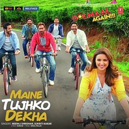 Maine Tujhko Dekha (Golmaal Again)