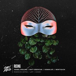 Rising (Shaded's Realized Dreams Remix) (feat. Human Life, Matt Ossentjuk & Mont Blvck)