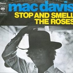 Stop And Smell The Roses
