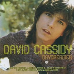 Daydreamer