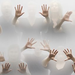 Gloria; Oimè lasso e freddo lo mio core; Doleo super te/Absalon fili mi; >>>