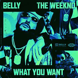 What You Want (feat. The Weeknd)
