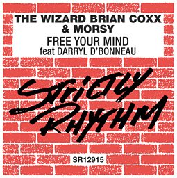 Free Your Mind (Afro Soul Mix) (feat. Darryl D'Bonneau)
