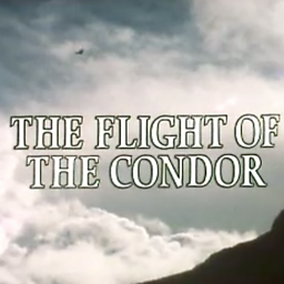 Floreo De Llamas ('Flight Of The Condor' Theme Tune)