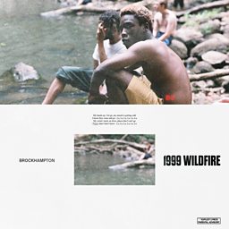 1999 WILDFIRE