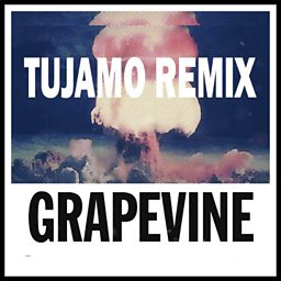 Grapevine (Tujamo Remix)