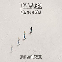 Now You're Gone (feat. Zara Larsson)