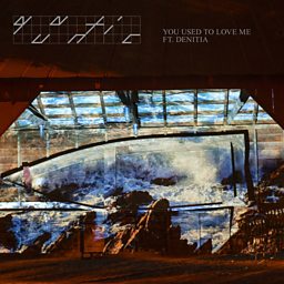 You Used To Love Me (feat. Denitia)