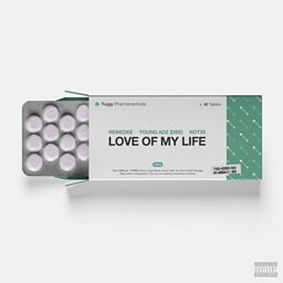 Love Of My Life (feat. Not3s & Young Adz)
