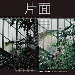 One Sided (feat. Kaleem Taylor)