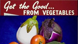 BBC Blogs - Adam Curtis - THE VEGETABLES OF TRUTH