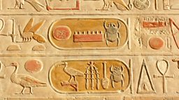 Egypt's animal mummy 'scandal' revealed