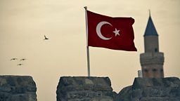 Turkish PM: No plans to send troops to Syria