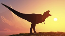 Missing mammal link found