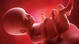Pioneering ‘in womb’ clinical trial