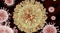 Zika – 'no risk' to Rio Olympics