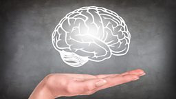 Memory research wins 'Brain Prize' 欧洲大脑奖颁给脑记忆研究项目
