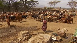 Drought in Ethiopia and MS treatment 埃塞俄比亚干旱，多发性硬化治疗手段新进展