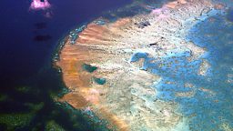 Great Barrier Reef 'severely damaged'