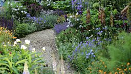 BBC Two - RHS Chelsea Flower Show - The Morgan Stanley Garden