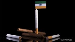 Anti-tobacco plan, Tate Modern's new director 印度限制烟草生产的计划、泰特现代艺术馆新任馆长