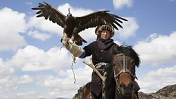 Bbc Two Tribes Predators Me In Pictures The Eagle