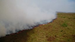 Wildfires in the UK 英国夏日野火烧遍荒野
