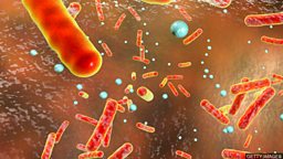 Novel antibiotic effectively kills bacteria 新型抗生素能有效杀灭细菌