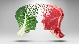 Debating veganism: How to change someone's opinion