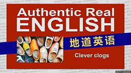 Clever clogs 自以为聪明的人