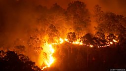Australia’s ‘catastrophic’ fires continue 澳大利亚 “灾难级” 林火仍在燃烧