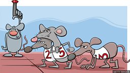 Rat race “老鼠赛跑” 永无休止的竞争