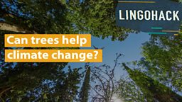 Can trees help climate change?
