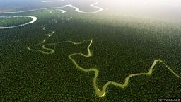 Amazon-dwellers lived sustainably for 5,000 years 亚马逊雨林原住民五千年来对生态环境损害极小