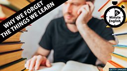 Why we forget the things we learn