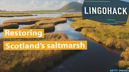 Restoring Scotland’s saltmarsh