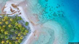 Tahitian coral reef discovered 塔希提岛附近发现 “原始” 珊瑚礁