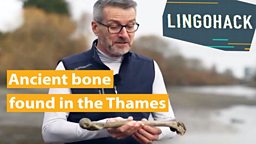 Ancient bone found in the Thames