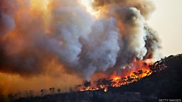 Wildfires may slow ozone layer recovery 野火可能会减缓臭氧层恢复