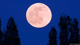 What is a supermoon? 什么是 “超级月亮”？