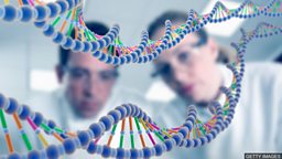 Huge plan to map the DNA of all life in British Isles 科学家为不列颠群岛所有生命进行基因组测序