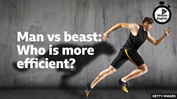 Man vs beast: Who is more efficient?