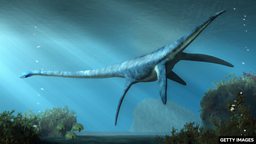 Rare plesiosaur fossil found in Australian outback 澳大利亚内陆发现罕见蛇颈龙化石