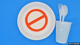 Single-use plastic plates and food utensils to be banned in England 英格兰地区将禁用一次性塑料餐盘和餐具