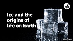 Ice and the origins of life on Earth