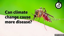 Can climate change cause more disease?