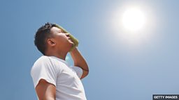 What happens to your body in a heatwave? 高温热浪会对人的身体产生哪些影响？
